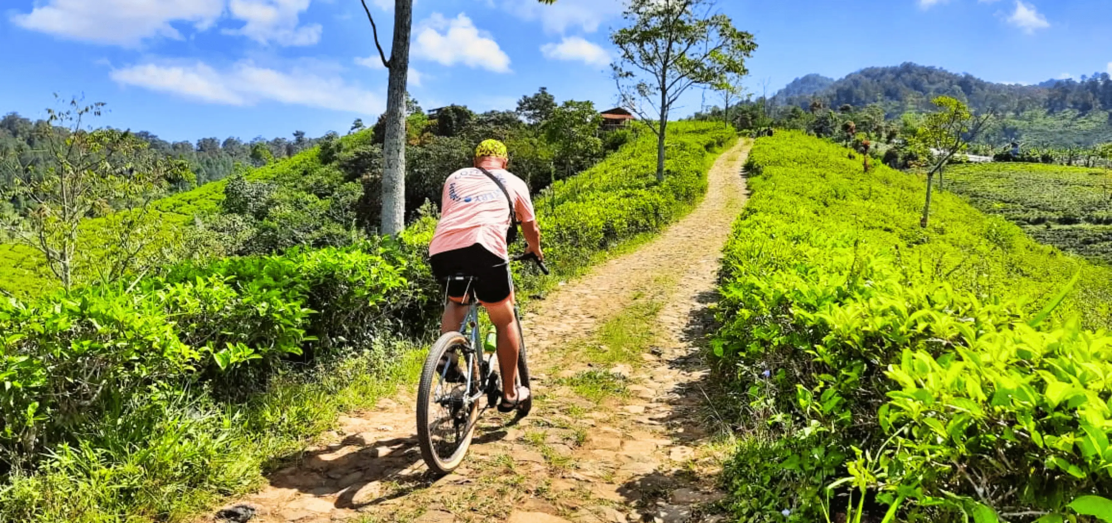 ZTrans Kebun Teh Cipasung